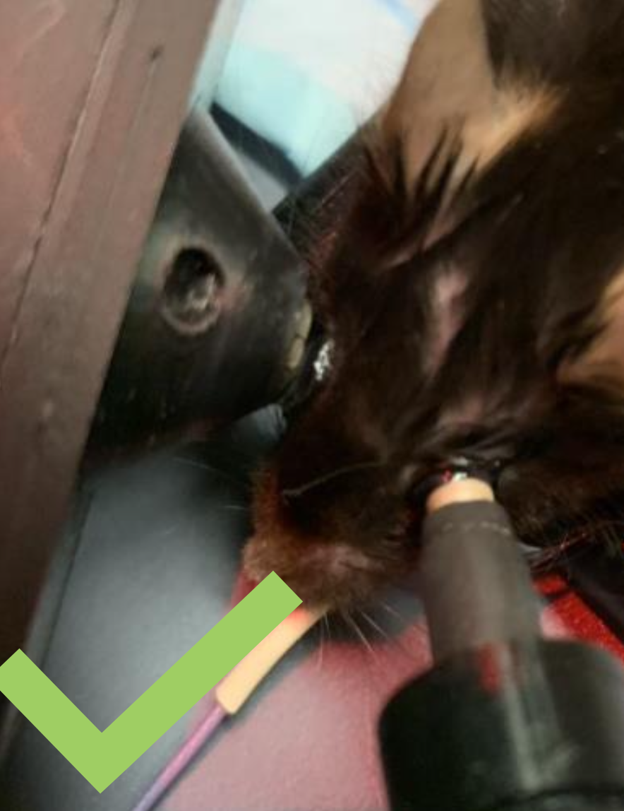 Screen_Shot_2023-04-18_at_10.49.50_AM.png